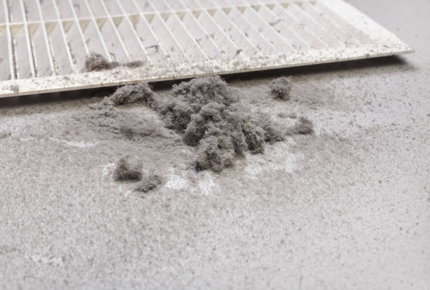 Best Emergency Air Duct Cleaning  in St Paul Park, MN