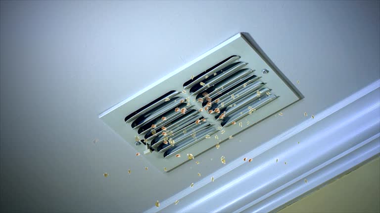 Best Air Duct Cleaning Company Near Me  in St Paul Park, MN