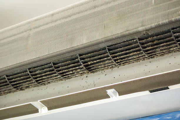 Best HVAC Duct Inspection Services  in St Paul Park, MN