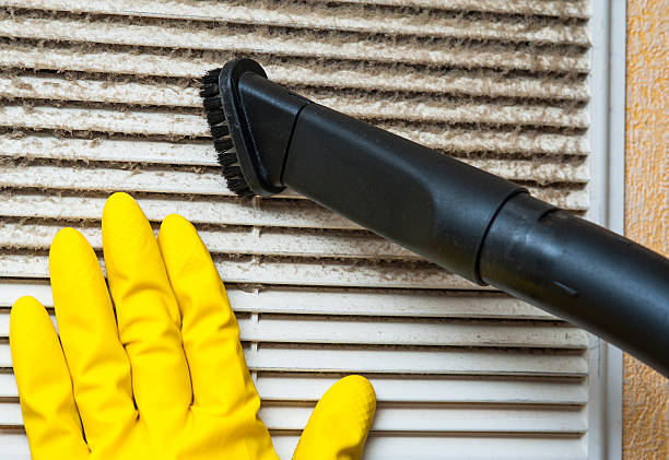 Best Ductwork Cleaning Services  in St Paul Park, MN